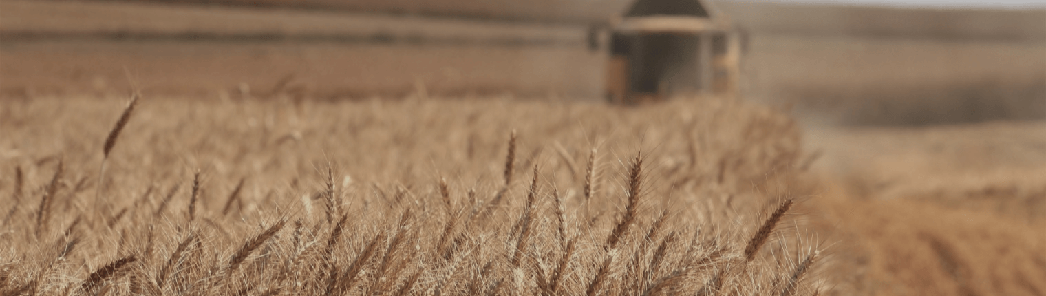 agrolab-image